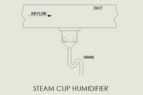 steam cup