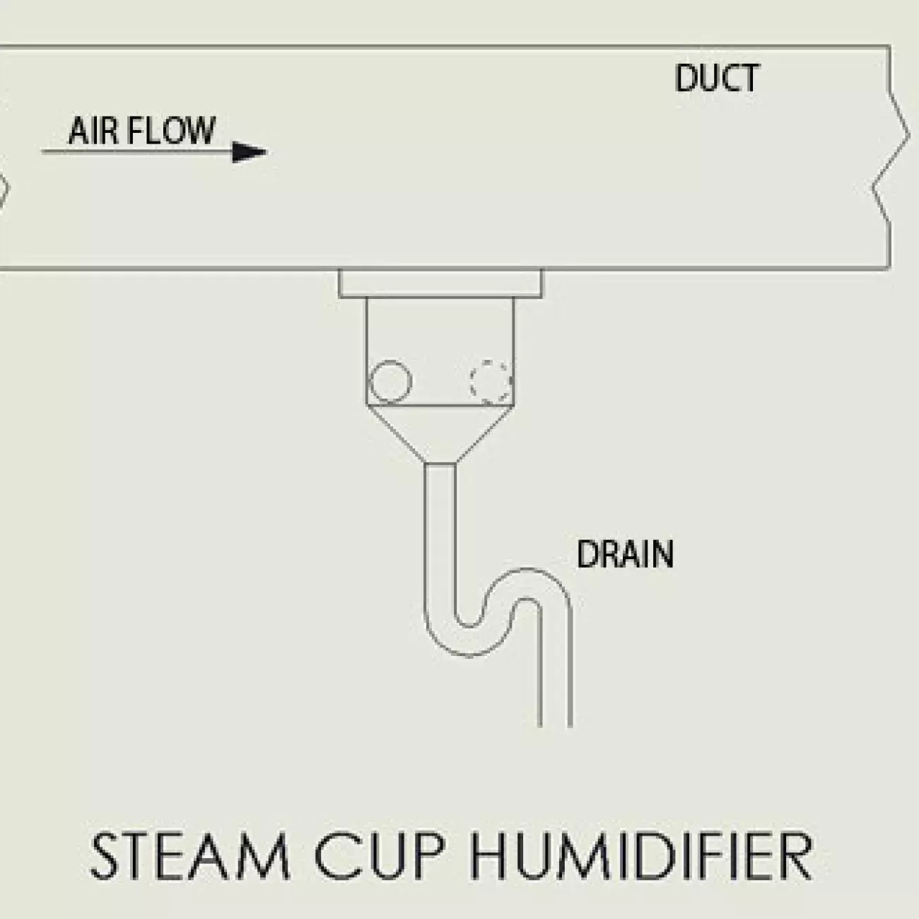 steam cup